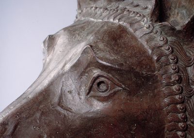 Lupa Capitolina part_Lorenzo De Masi